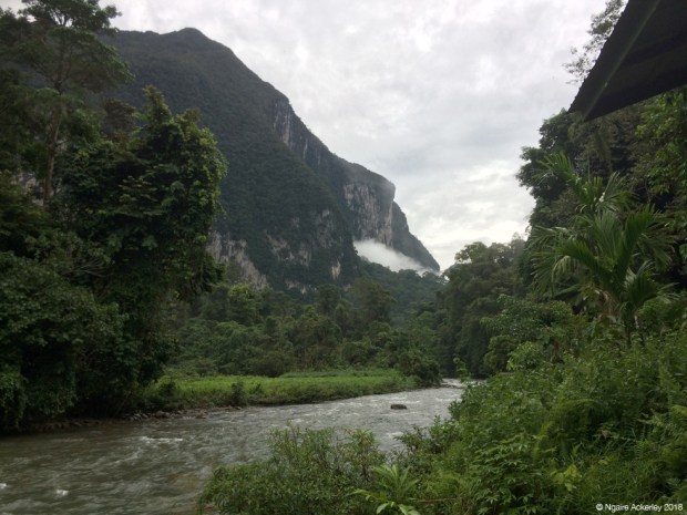 View from Camp 5, Mulu National Park, Borneo
