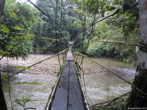 A wood/rope bridge in Mulu National Park