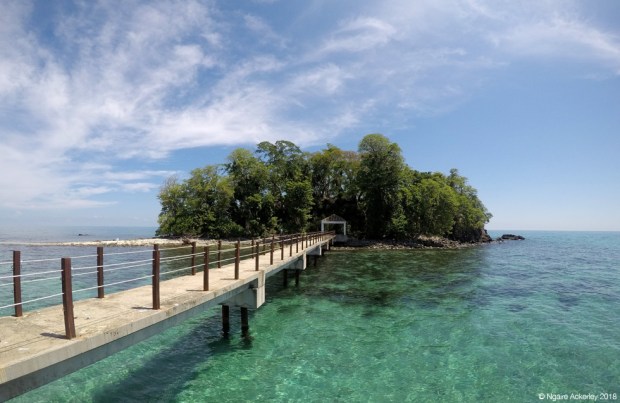 Snake Island, Borneo