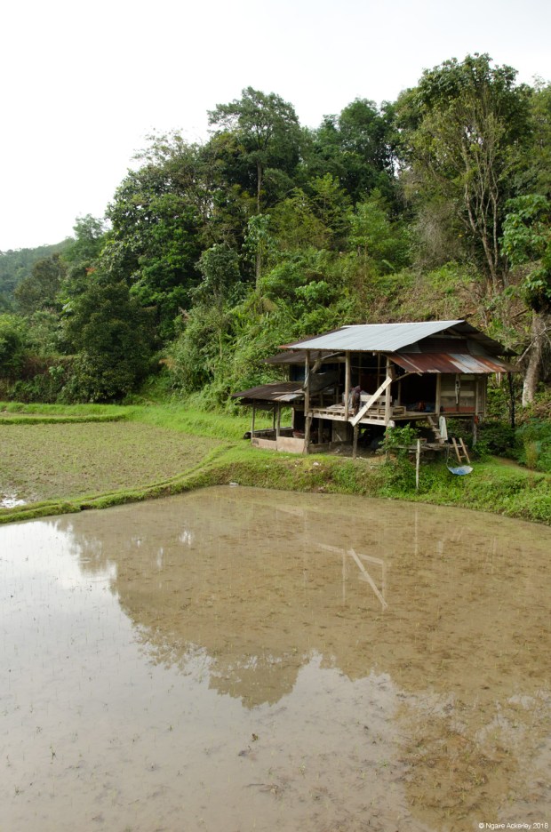 Tambatuon village