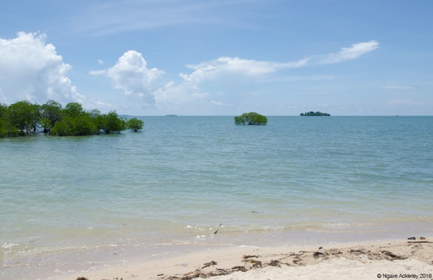 Pulau Libaran, Turtle Island