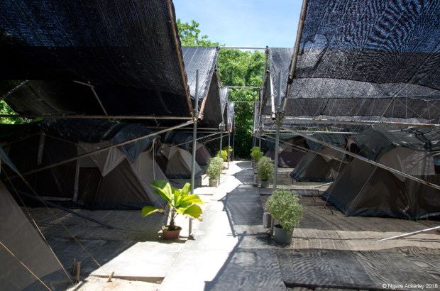 Glamping on Turtle Island