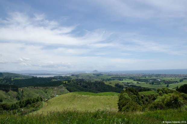 Papamoa Hills view