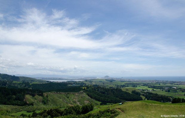 Papamoa Hills view