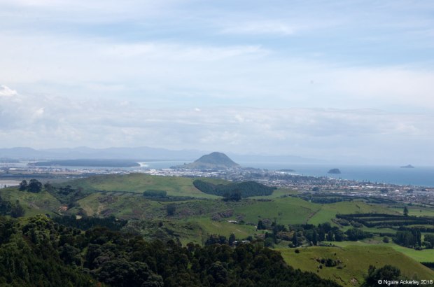 Mount Maunganui, from Papamoa Hills