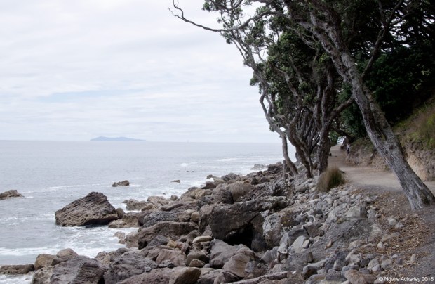 Walks around Mount Maunganui