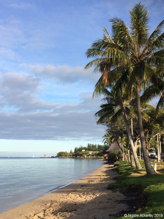 Palm trees line the beaches
