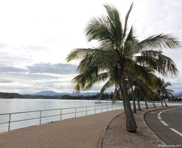 Boulevard with Palm trees in Noumea