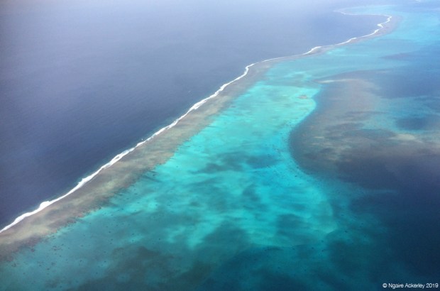Coral reef of New Caledonia
