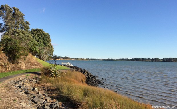 walking path by water
